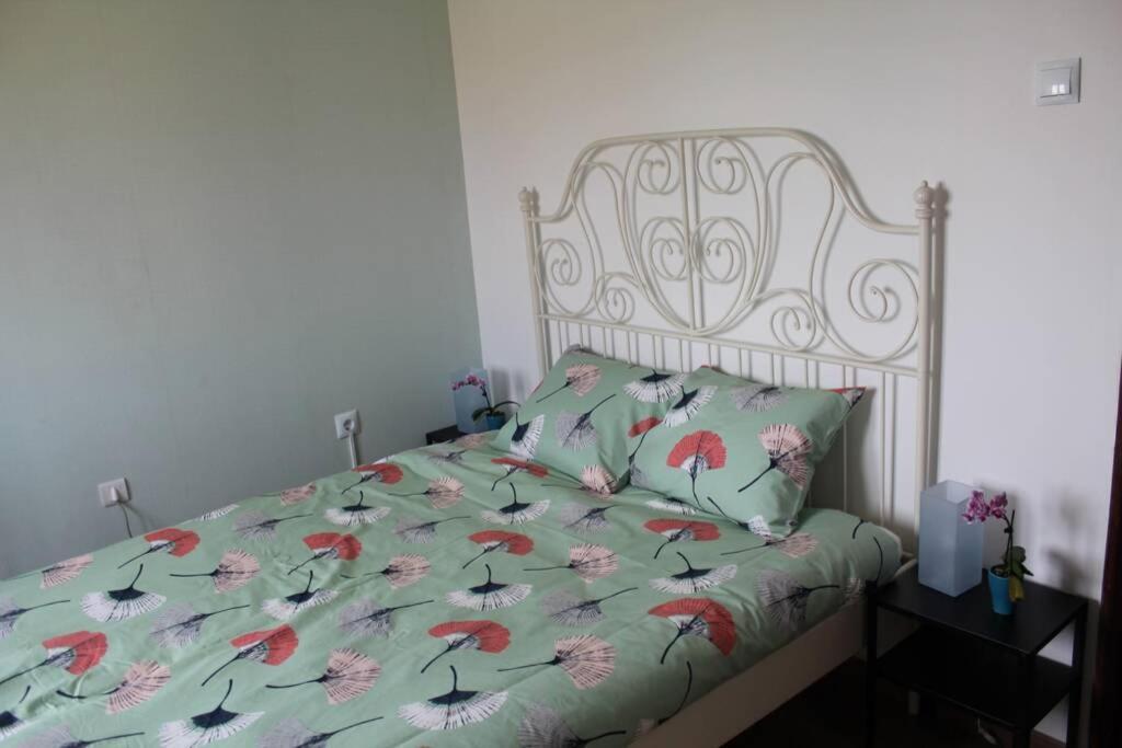 House With Pool And Garden In Esmoriz Near Porto Villa Ngoại thất bức ảnh
