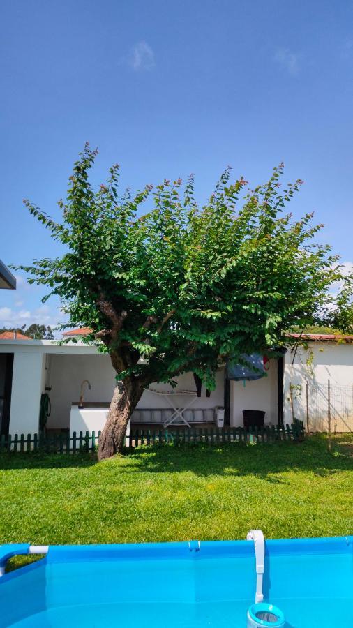 House With Pool And Garden In Esmoriz Near Porto Villa Ngoại thất bức ảnh